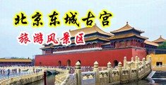 骚骚骚BB中国北京-东城古宫旅游风景区